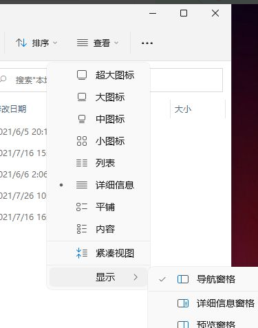 Win11怎么显示隐藏的文件?Win11显示隐藏文件的方法