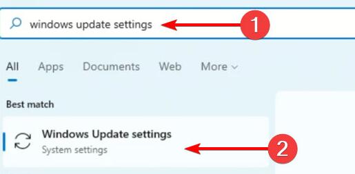 更新Win11系统后没有声音怎么办?Win11更新没声音解决教程
