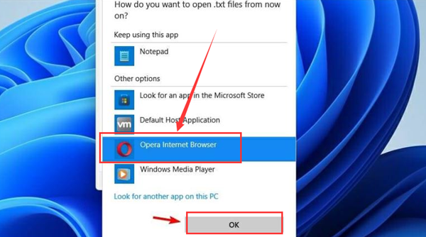 Win11如何更改默认打开方式?Win11更改默认打开方式的方法