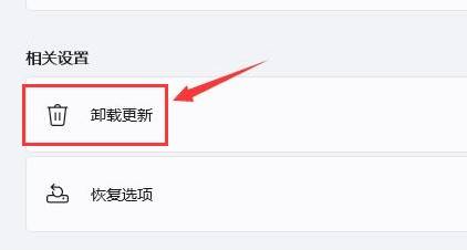 Win11一直黑屏转圈怎么办?Win11一直黑屏转圈的解决方法