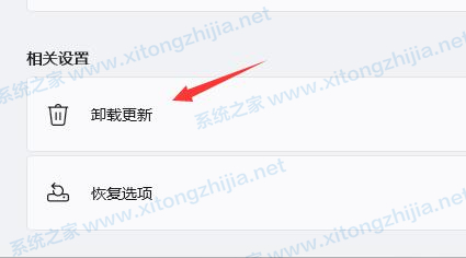 Win11一直闪屏怎么办?Win11屏幕不停的闪烁怎么办?