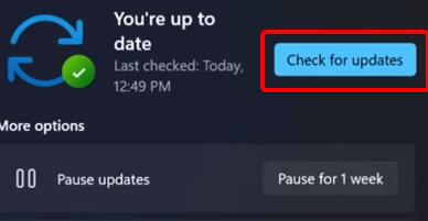 Win11摄像头打不开怎么办?Win11摄像头打不开的解决方法