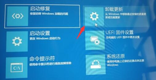 Win11退回Win10按键没反应怎么办?Win11退回Win10按键没反应解决方法