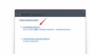 Win11键盘鼠标失灵怎么办?Win11键盘鼠标失灵的解决方法
