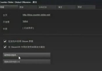 Win10玩csgo如何优化参数设置?