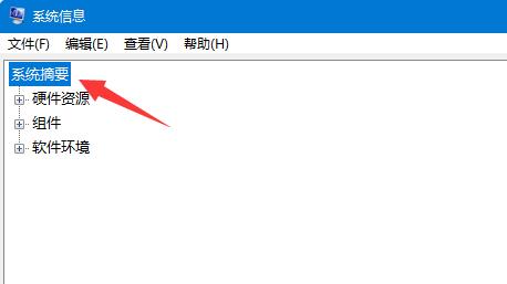 Win11如何查看内存占用情况?Win11查看内存占用的方法