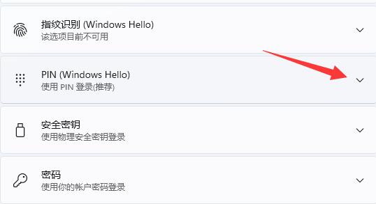 Win11如何修改pin码?Win11修改pin码的方法