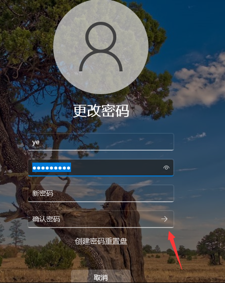 Win11如何取消开机密码?Win11取消开机密码的方法