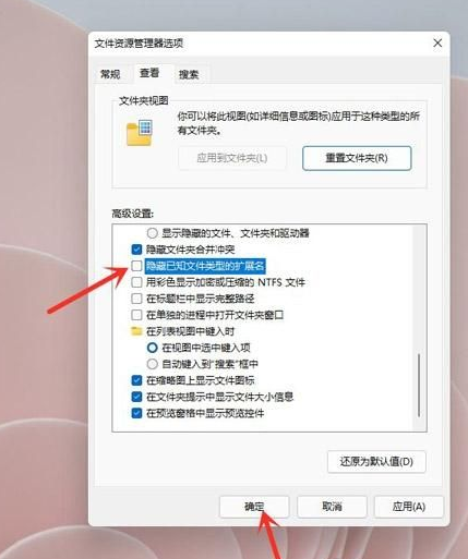 Win11怎么显示文件后缀名?Win11显示文件后缀名操作方法