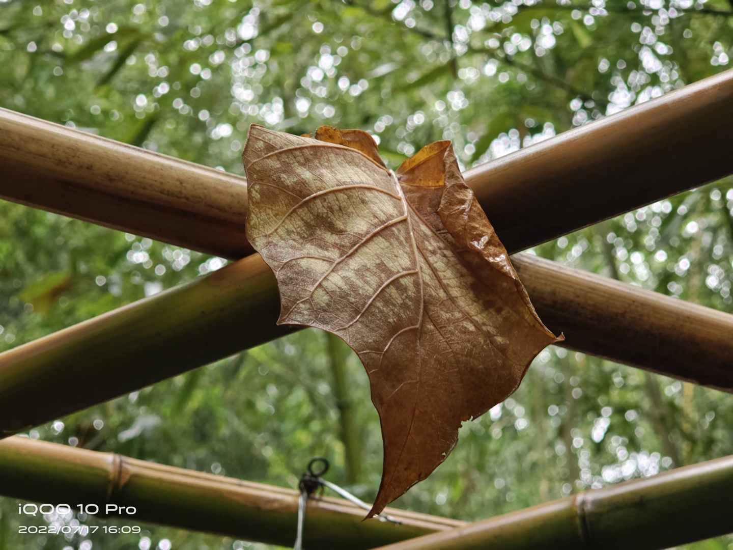 【IT之家评测室】iQOO 10 Pro 全面体验:首发 200W 快充,充电正式迈入 10 分钟时代!