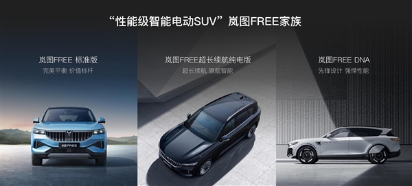 岚图FREE超长续航纯电版上市:续航最高730km 电池超100度