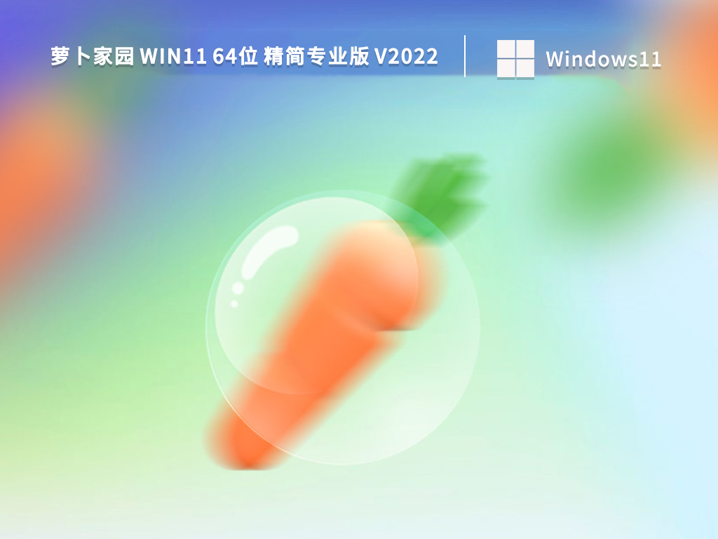 萝卜家园 Win11 64位 精简专业版 V2022