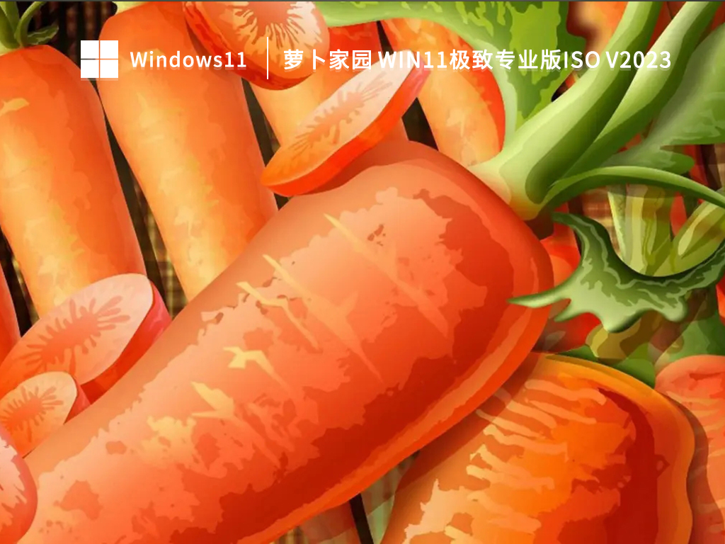 萝卜家园 Win11极致专业版ISO V2023