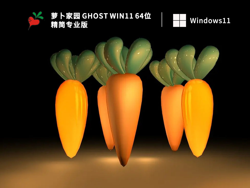 萝卜家园 Ghost Win11 64位 精简专业版 V2023