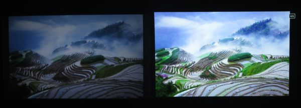 买投影仪后悔死了?「8不买」,什么样的投影仪才是物超所值?