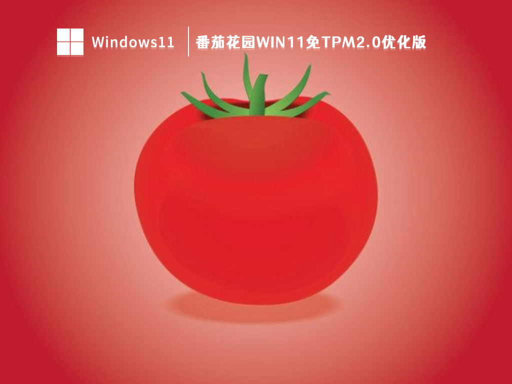 番茄花园Win11免tpm2.0优化版 V2023