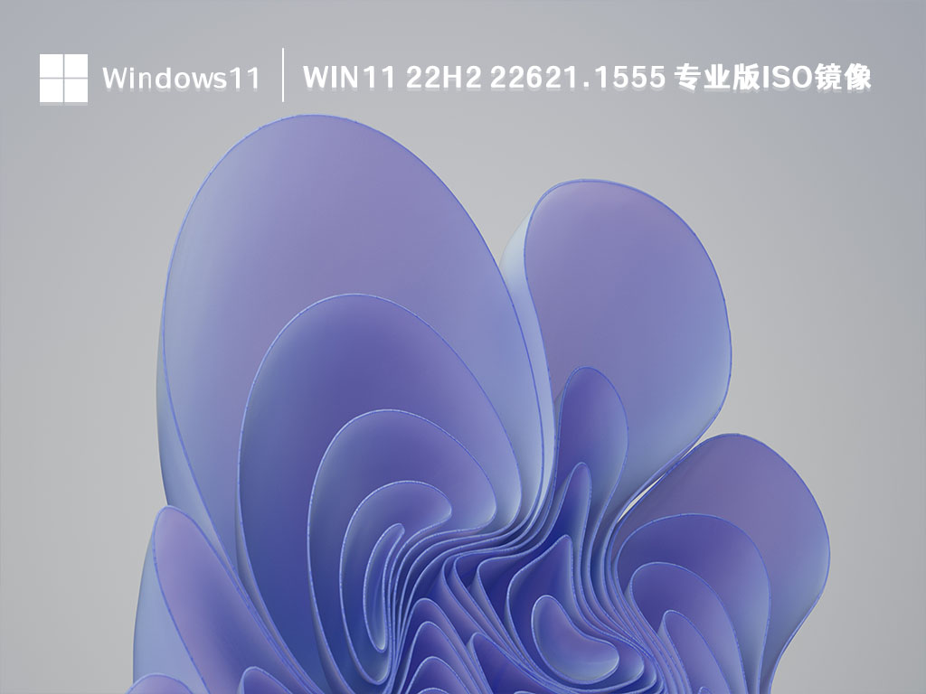 Win11 22H2 22621.1555 专业版ISO镜像 V2023