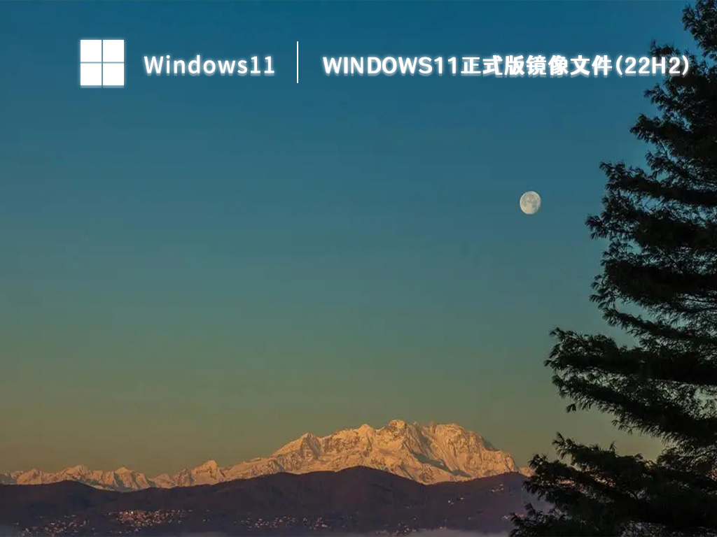 Windows11正式版镜像文件(22H2) V2023