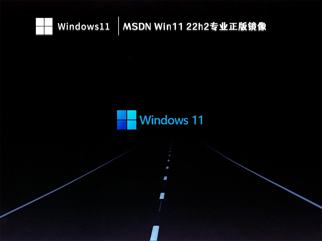 MSDN Win11 22h2专业正版镜像 V2023
