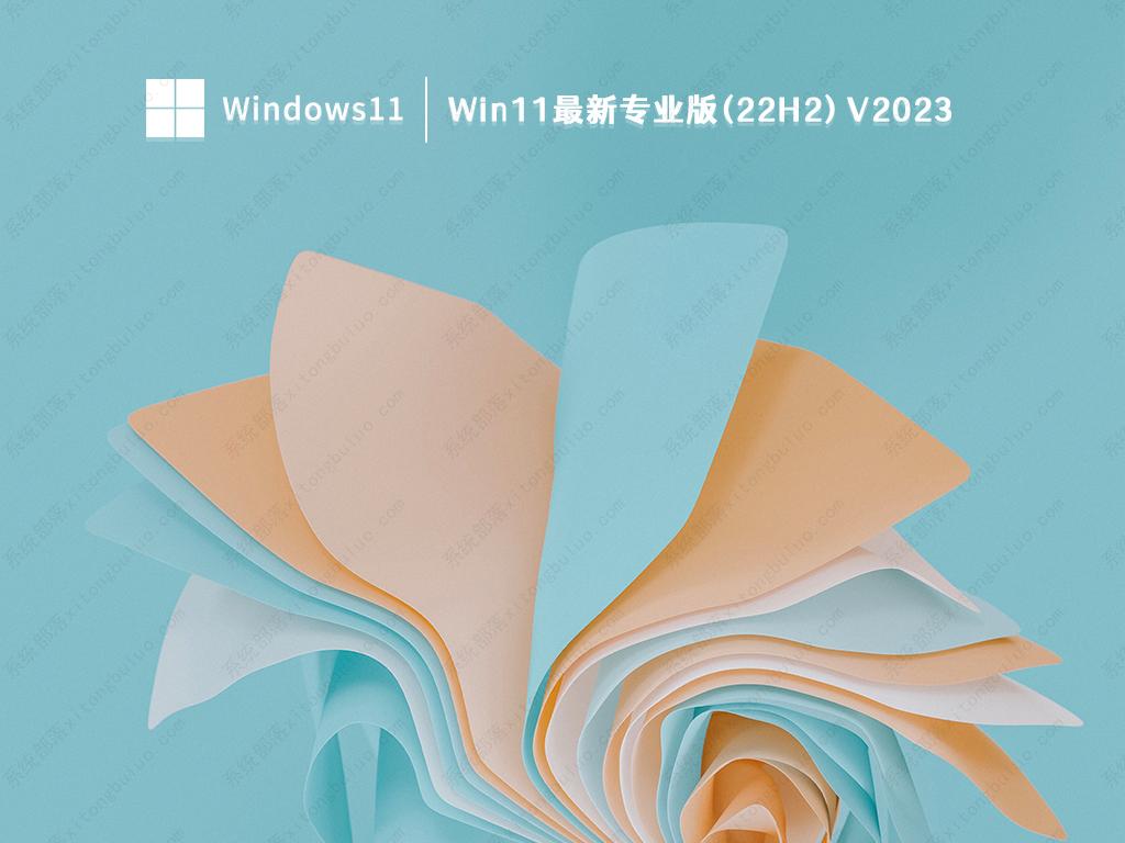 Win11最新专业版(22H2) V2023