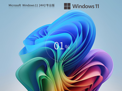 【最新推荐】Windows11 24H2 官方专业版