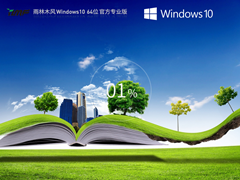 【雨林木风】Windows10 22H2 64位 最新专业版