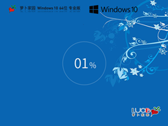 【萝卜家园】Windows10 22H2 64位 官方正式版