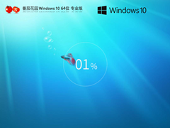 【番茄花园】Windows10 22H2 64位 官方正式版