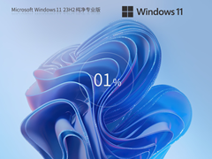 【无捆绑】Windows11 23H2 纯净专业版