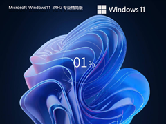 【告别卡顿】Windows11 24H2 64位 专业精简版