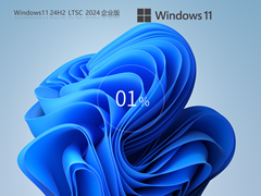 【长期支持】Win11 24H2 X64 企业版LTSC