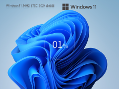 【长期支持】Win11 24H2 LTSC 64位 纯净企业版