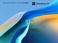 【告别卡顿】Windows11 23H2 64位 专业精简版