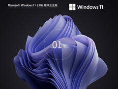 【长期支持】Win11 23H2 64位 纯净企业版