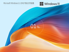 【高性能系统】Windows11 23H2 64位 专业工作站版