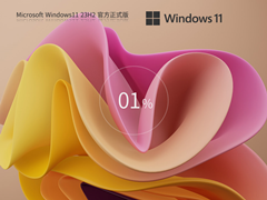 【11.13版】Windows11 23H2 22631.4460 X64 专业版